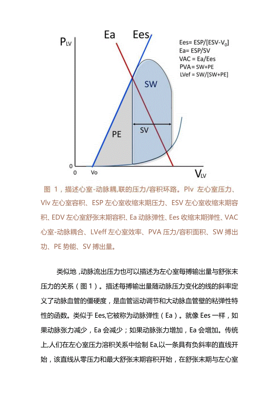 脓毒性休克中心室动脉耦联的病理生理学意义2024.docx_第3页