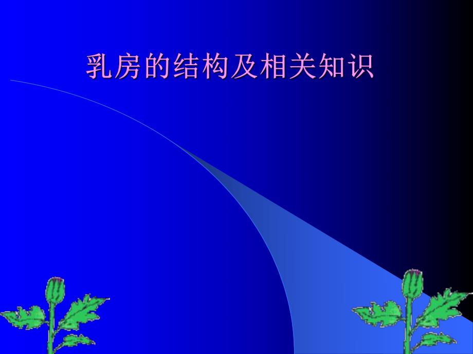 乳房的结构及相关知识.ppt.ppt_第1页