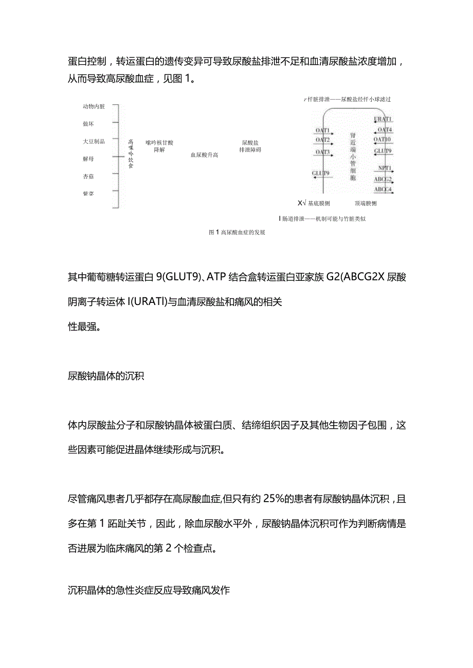 2024痛风急性发作药物选择的治疗.docx_第2页