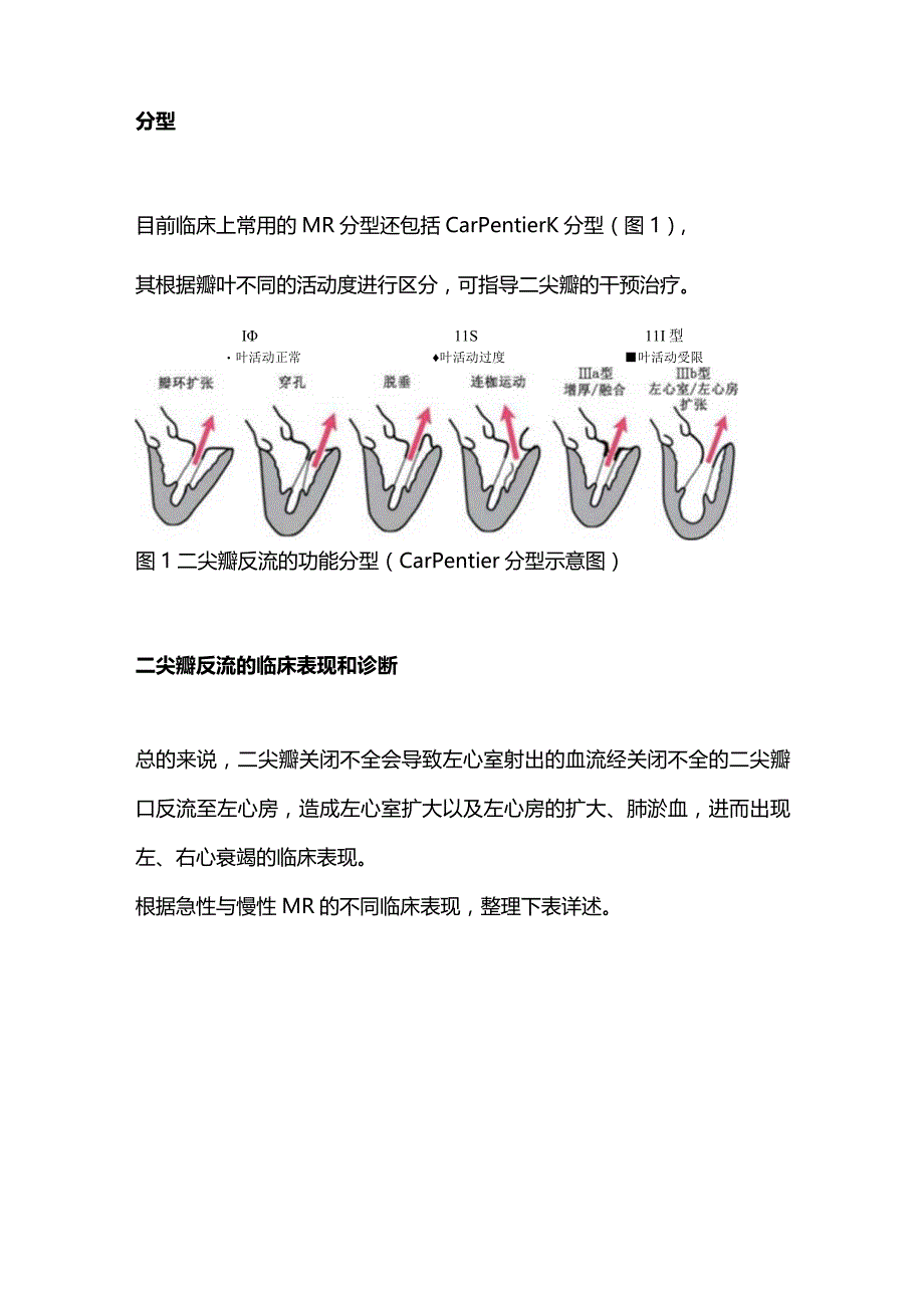 2024急性和慢性二尖瓣反流的临床表现差异.docx_第3页