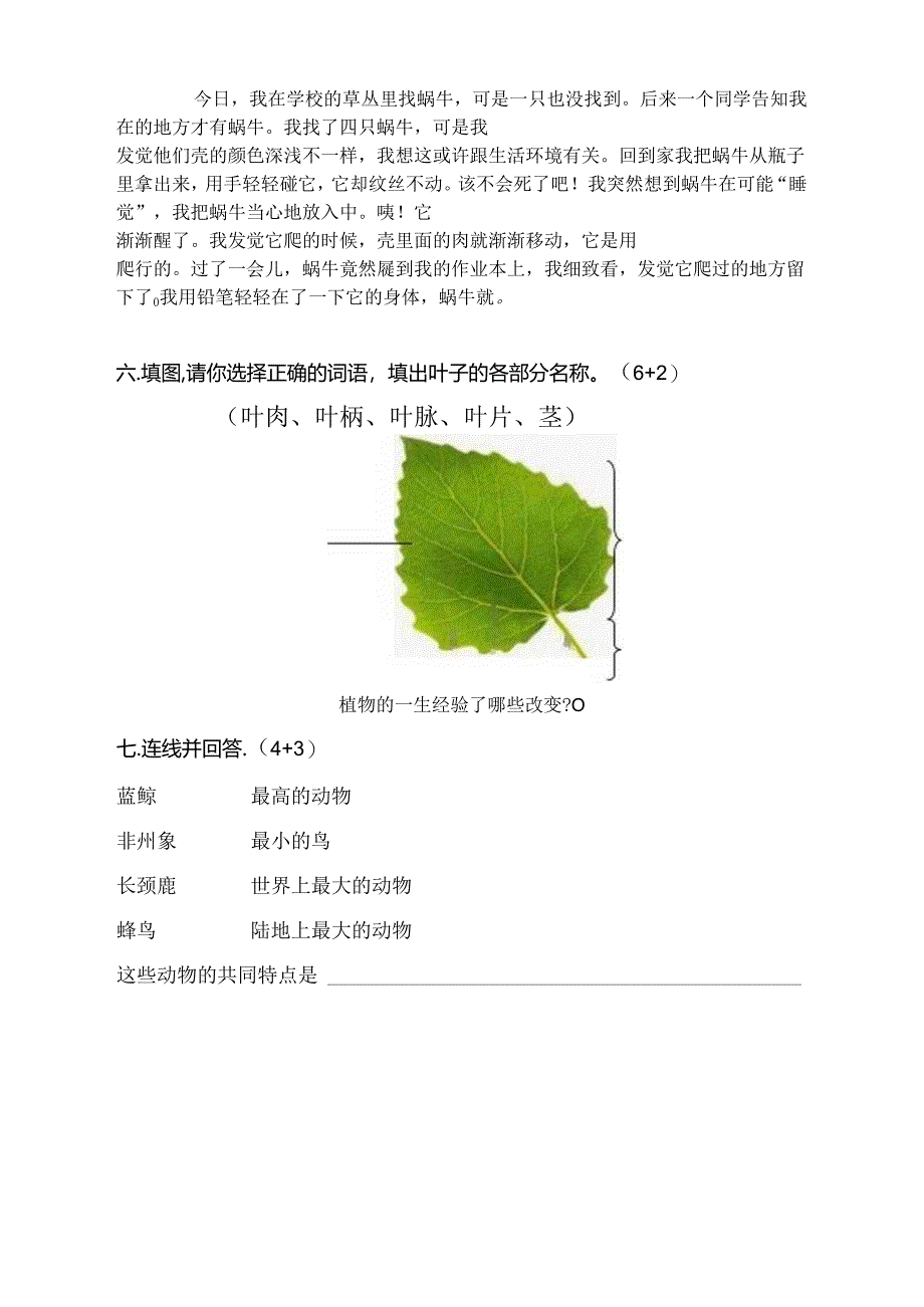 人教版三年级上册科学期中试卷.docx_第3页