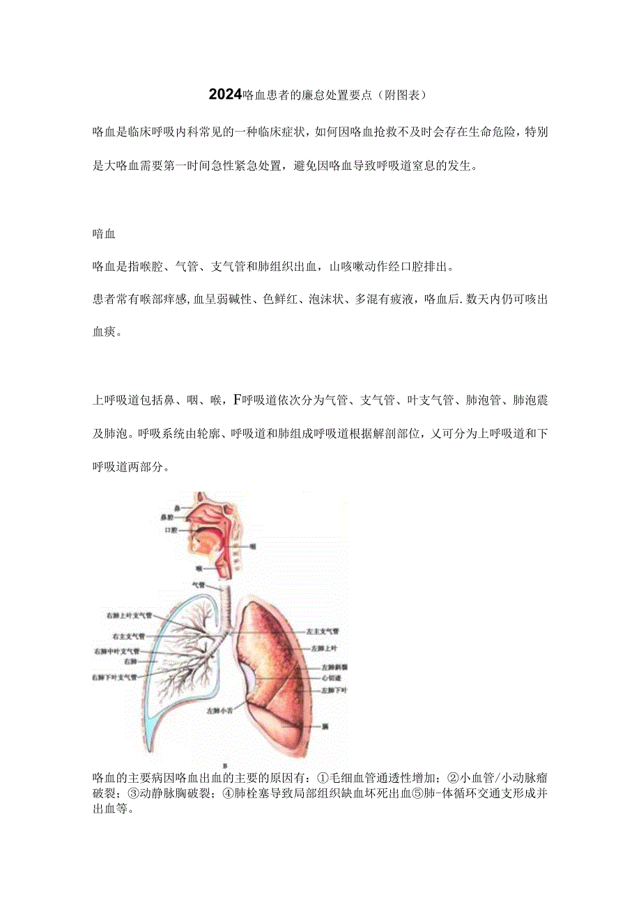 2024咯血患者的紧急处置要点（附图表）.docx_第1页