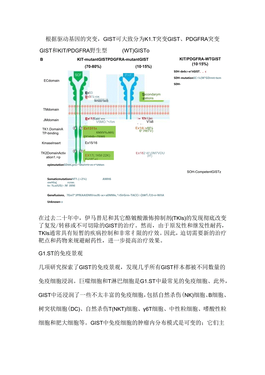 2024胃肠道间质肿瘤的免疫治疗进展要点（附图表）.docx_第2页