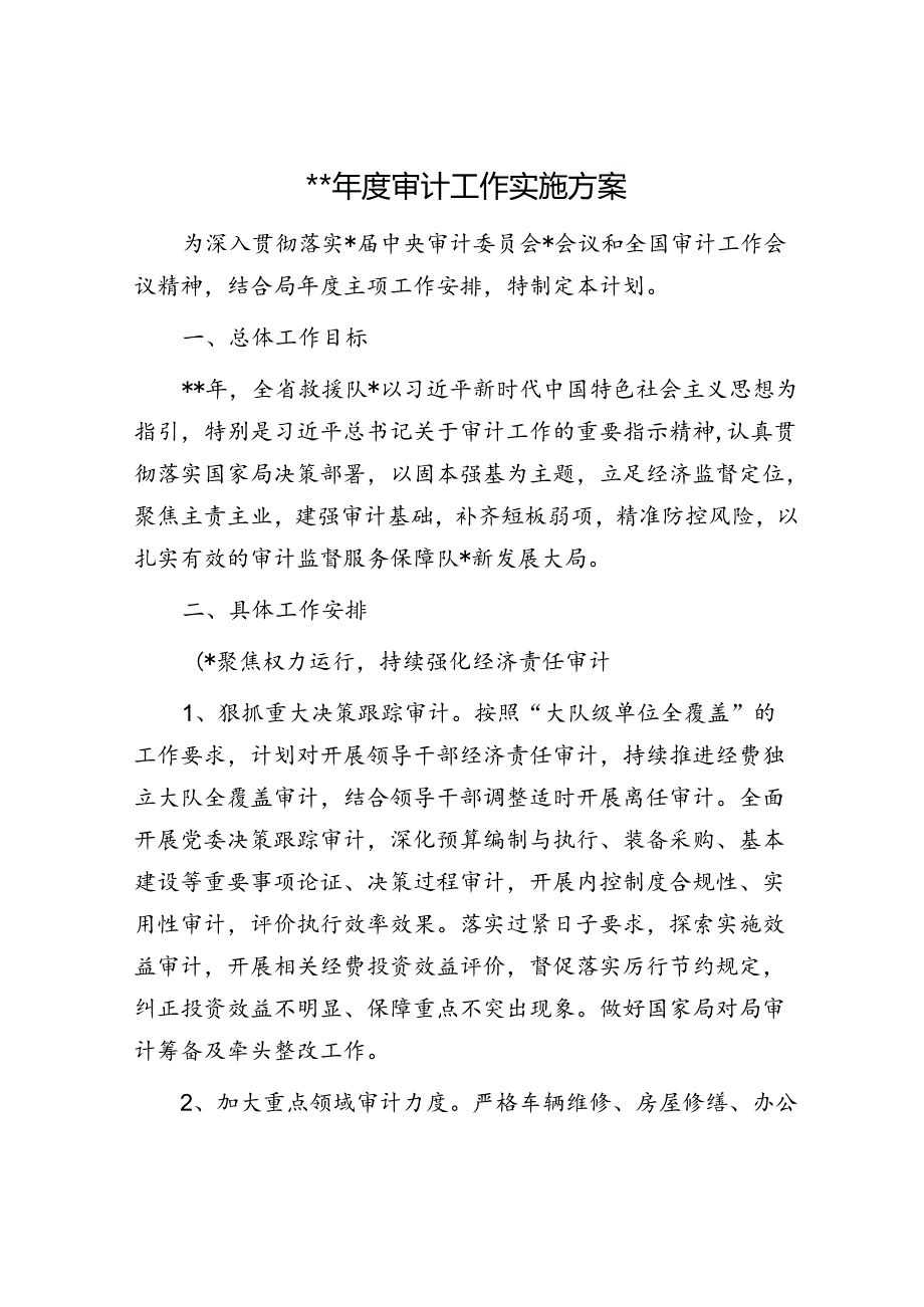 2024年度审计工作实施方案.docx_第1页