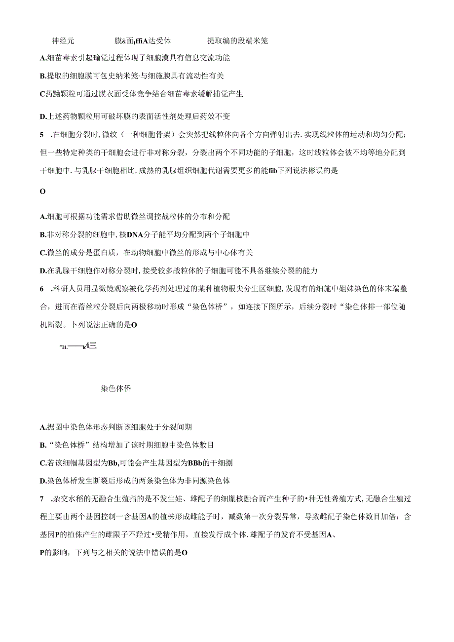 2024年湖北省部分重点中学联考二（试卷+答案）.docx_第2页