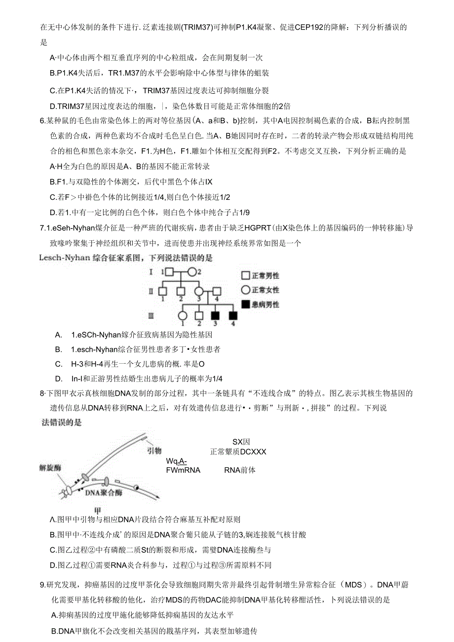 2024山东青岛市一模（试卷+答案）.docx_第2页