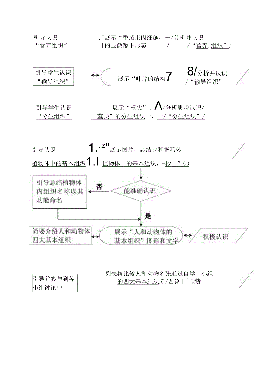 2024年细胞分化形成组织课堂教学过程流程图.docx_第2页