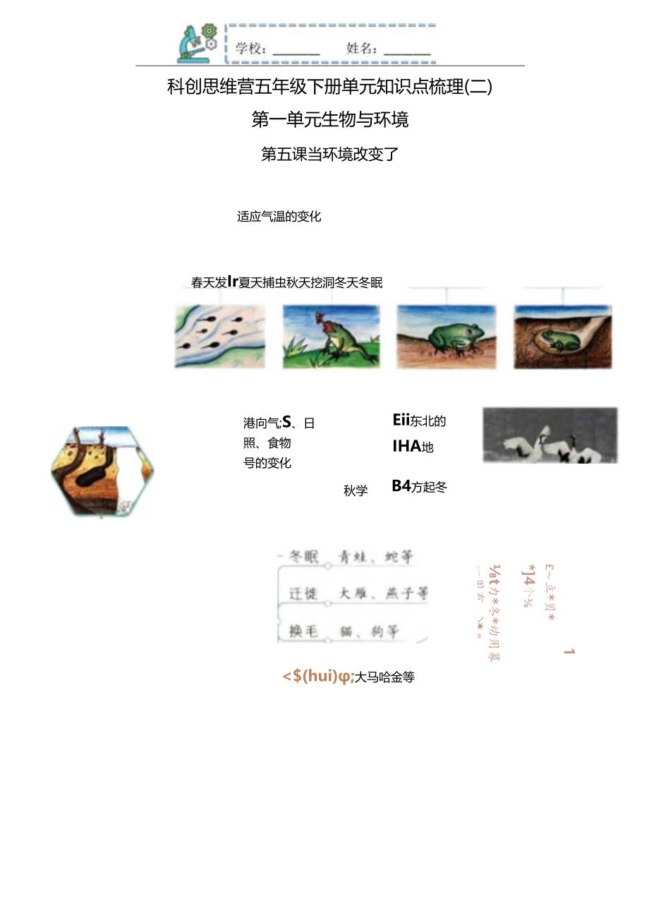 五下 小学科学五年级第一单元知识点梳理5-8.docx_第1页