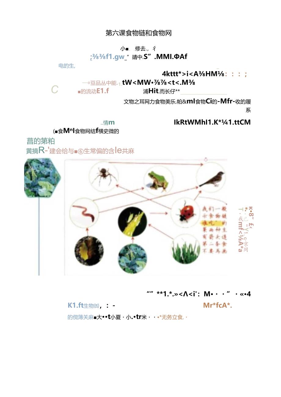 五下 小学科学五年级第一单元知识点梳理5-8.docx_第2页