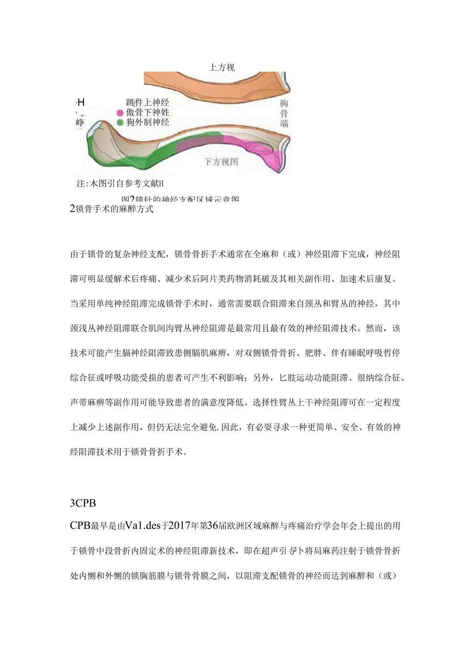 2024锁胸筋膜平面阻滞的研究进展要点（全文）.docx_第3页