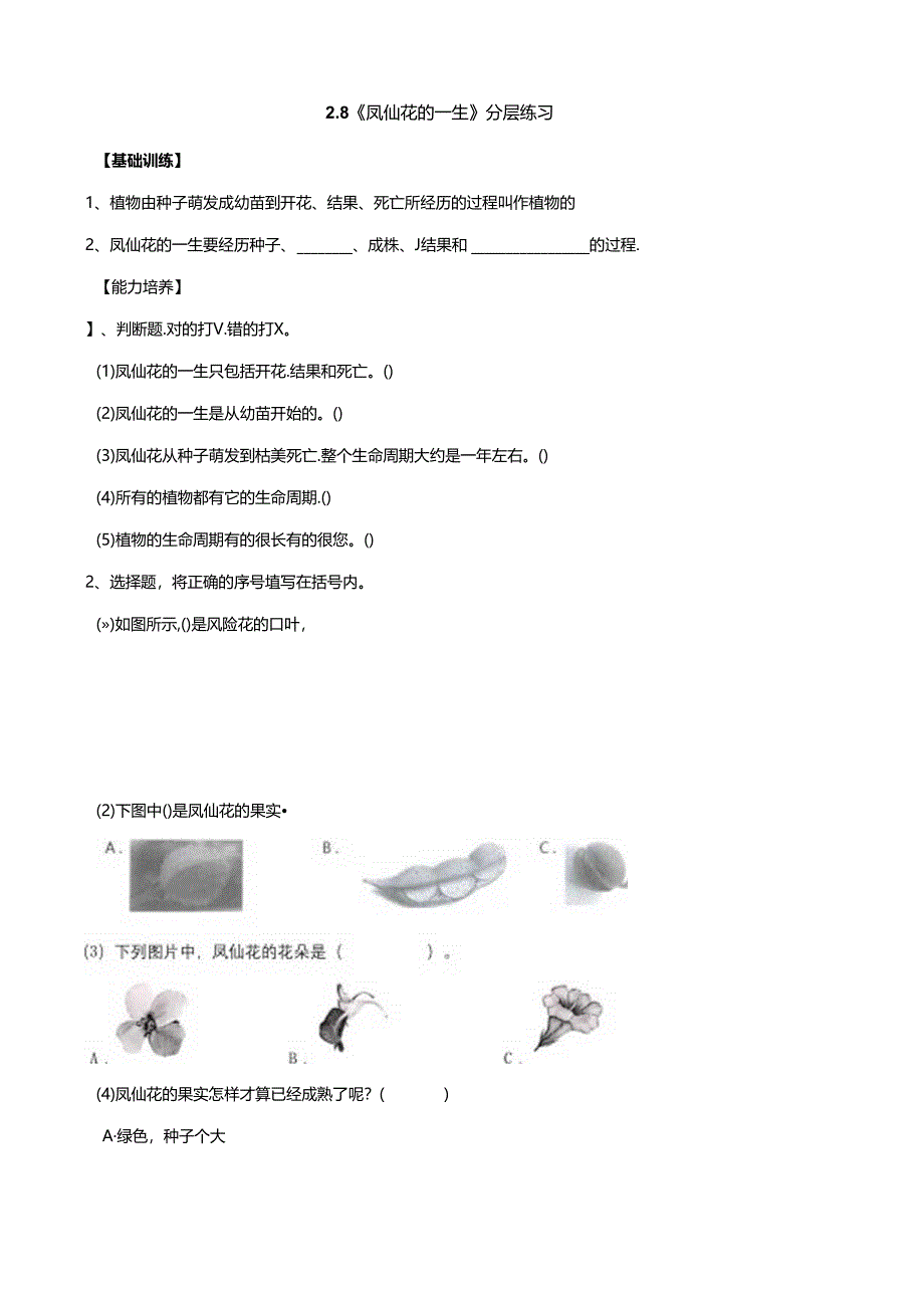 2.8《凤仙花的一生》分层练习（含答案） 人教鄂教版小学科学三年级下册.docx_第1页