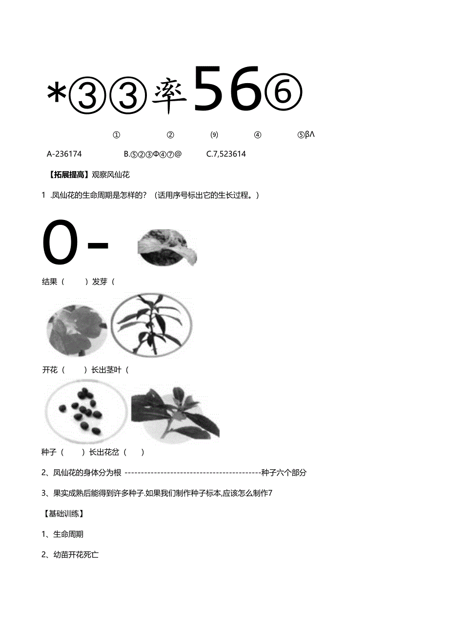 2.8《凤仙花的一生》分层练习（含答案） 人教鄂教版小学科学三年级下册.docx_第3页