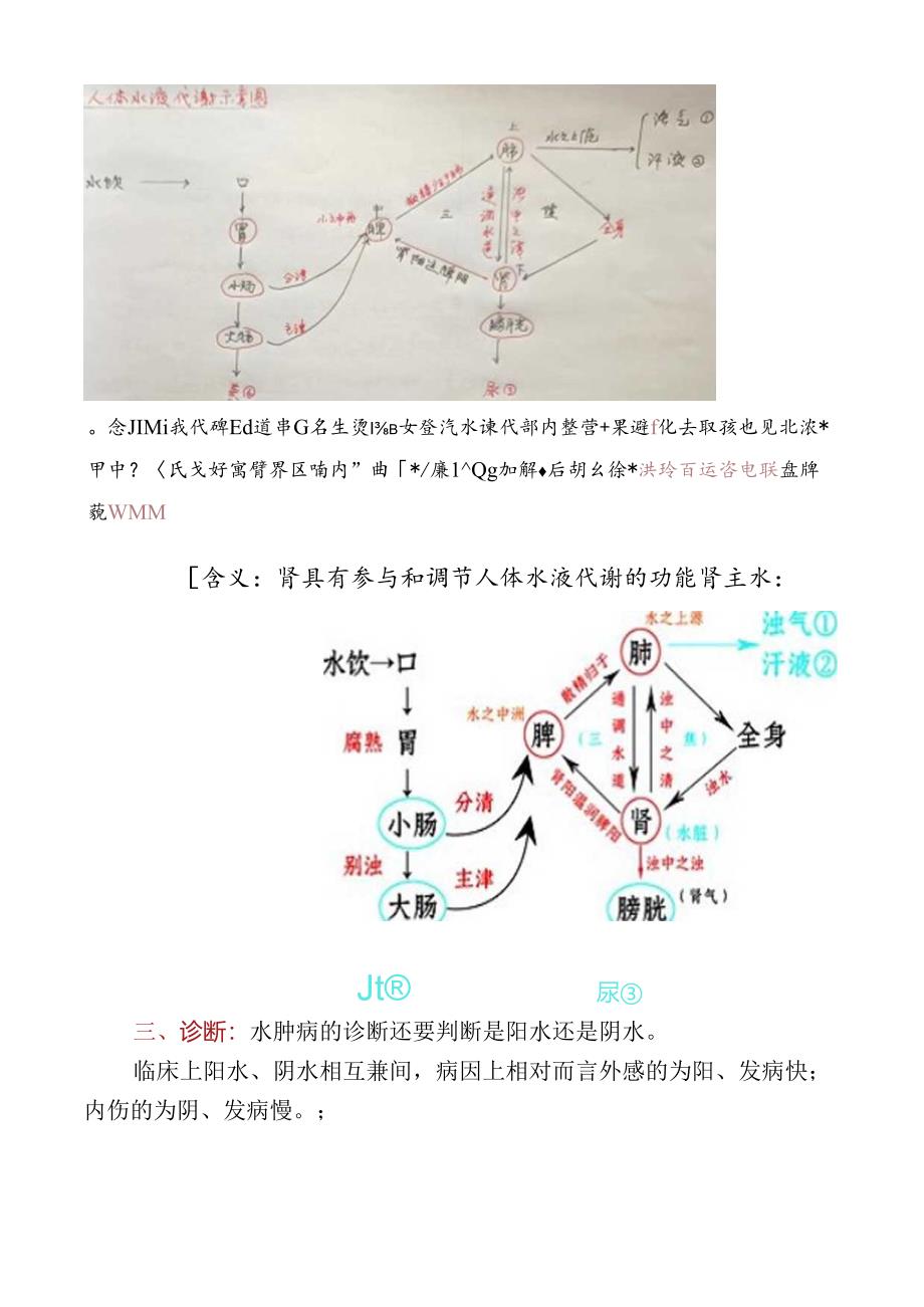 1.水肿·概说-1.docx_第3页