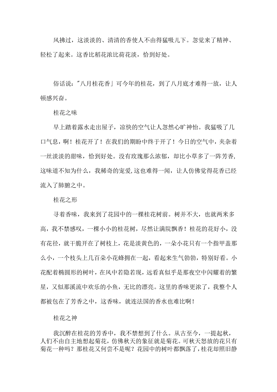 八月桂花香初二作文.docx_第3页