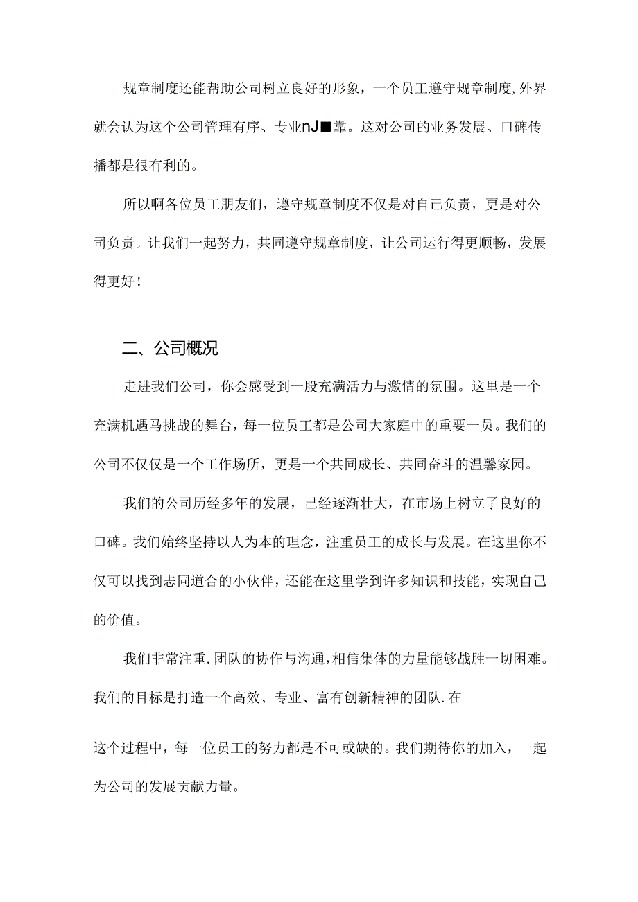 公司员工规章制度.docx_第3页