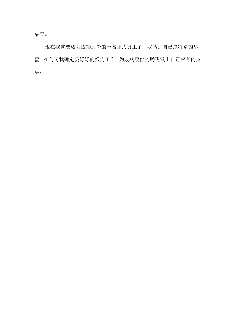 公司试用期工作的总结.docx_第3页