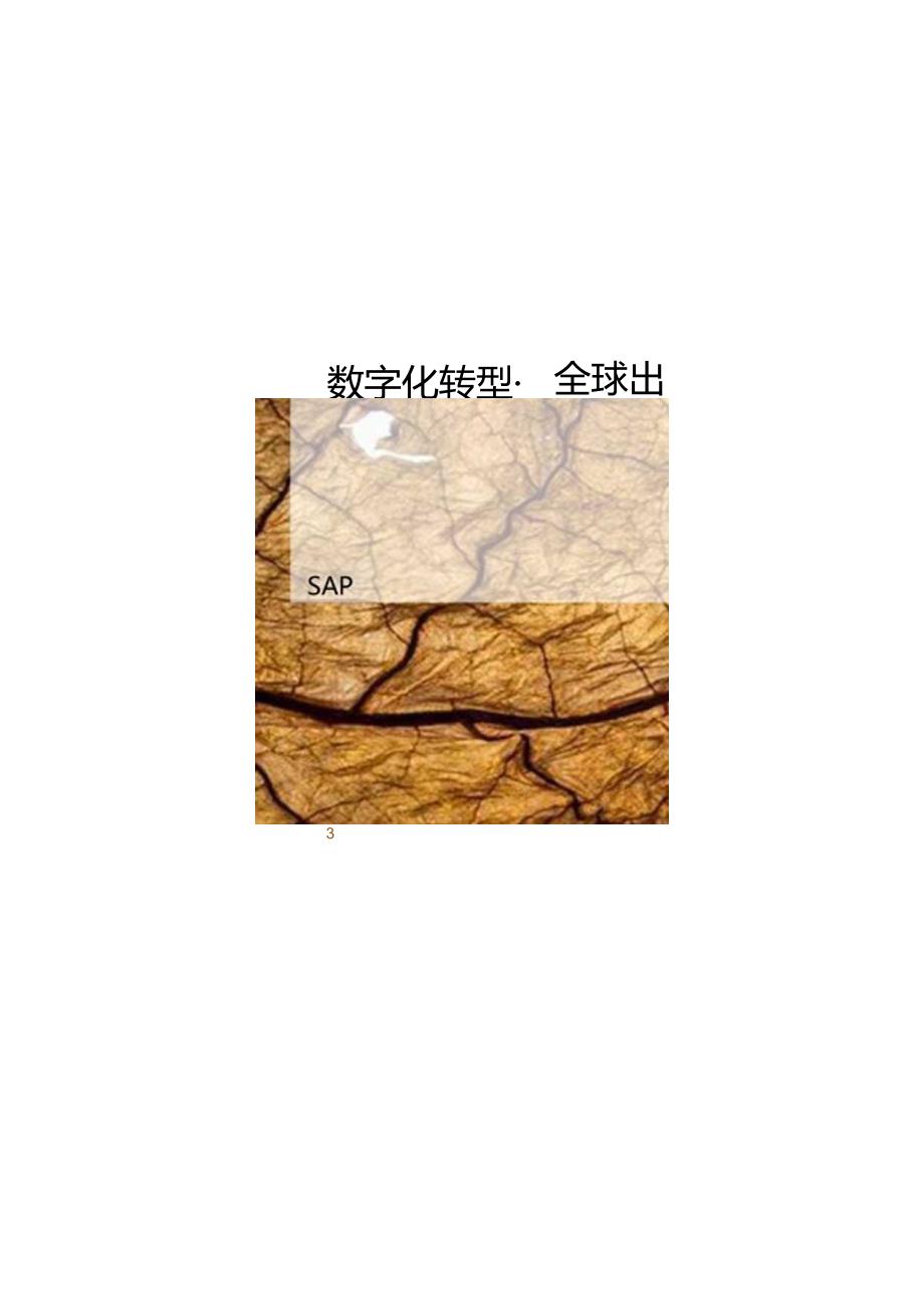 【精品】数字化转型：全球烟草行业趋势与领先数字化企业.docx_第3页