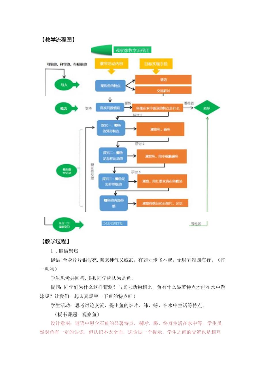 《观察鱼》精品教案.docx_第2页