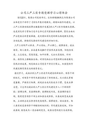 公司三严三实专题党课学习心得体会.docx