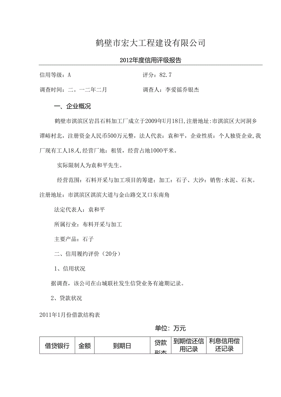 公司模板评级报告(DOC).docx_第1页