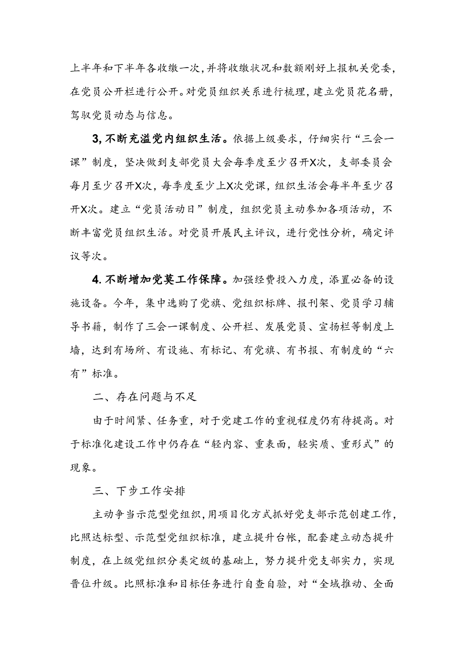 党支部标准化建设工作自查报告.docx_第3页