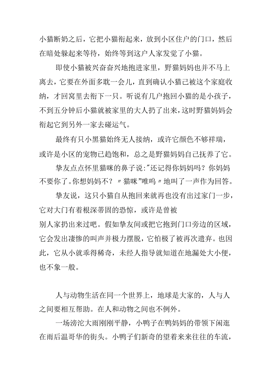 优秀作文：人与动物的故事.docx_第3页