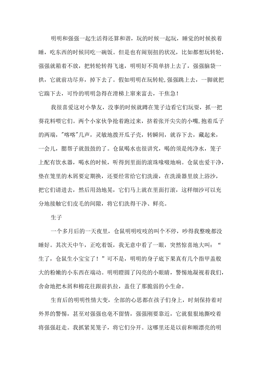 仓鼠明明和强强初一作文.docx_第2页