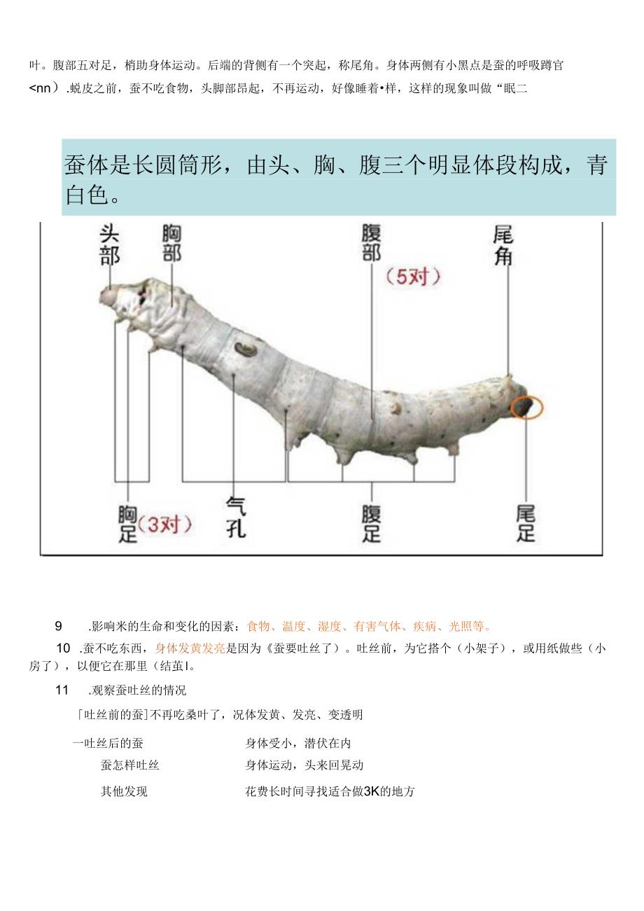 三下科学第二单元《动物的生命周期》知识点整理.docx_第2页