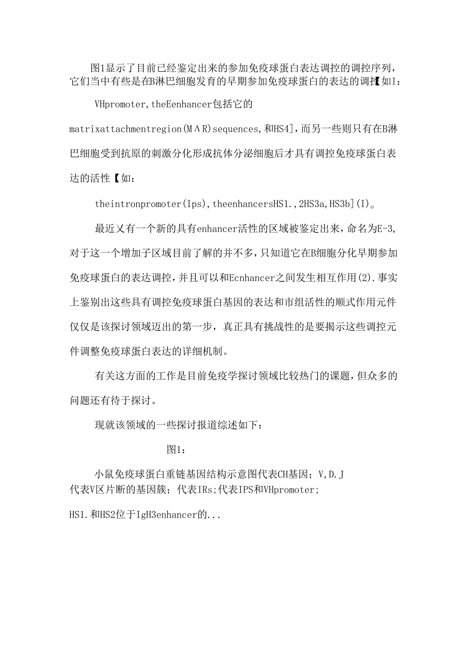 免疫球蛋白的表达调控.docx_第2页