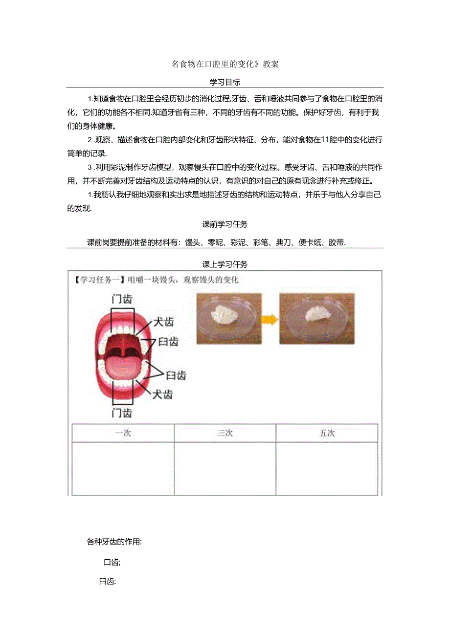 《食物在口腔里的变化》教案.docx_第1页