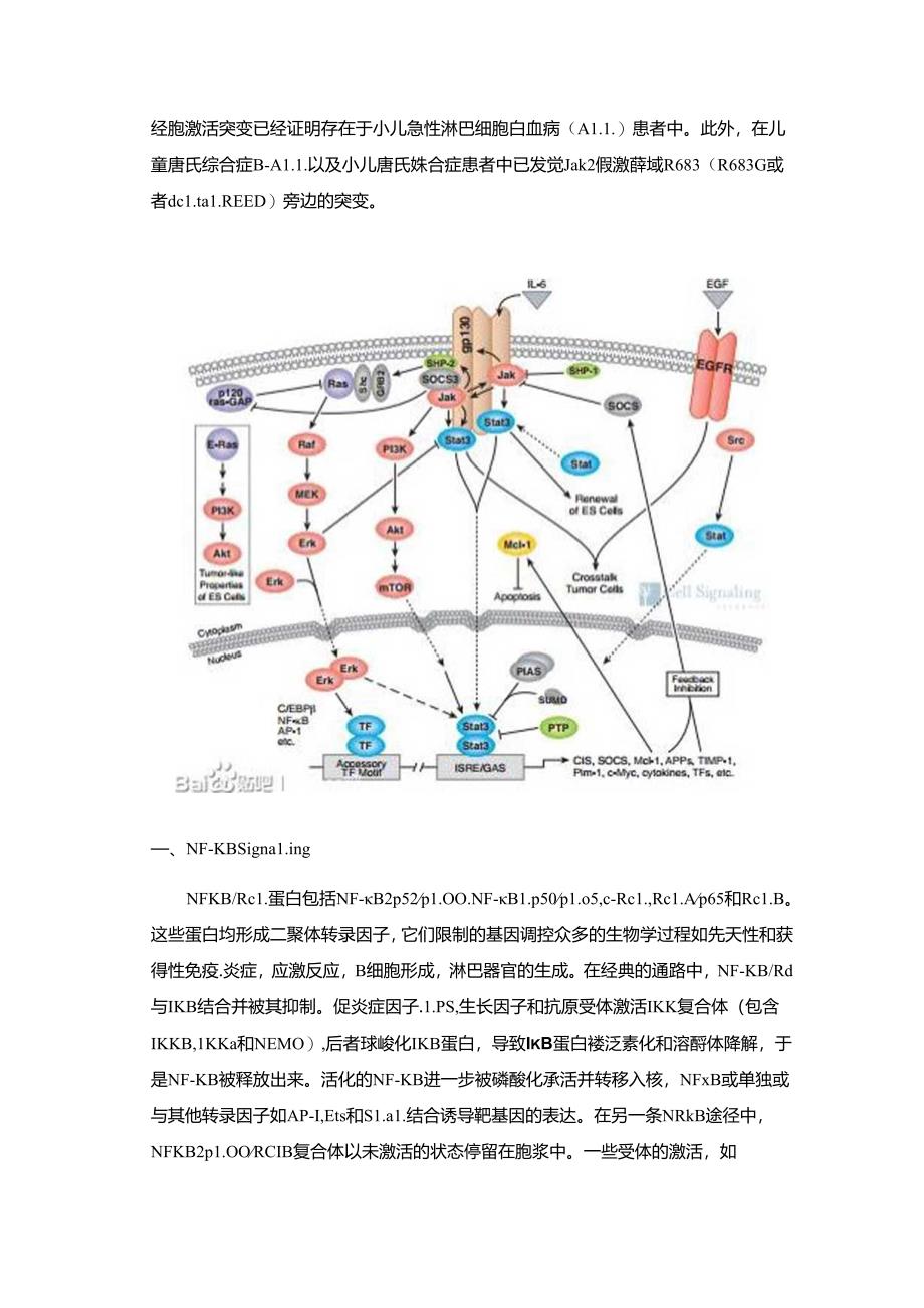 免疫和炎症相关信号通路.docx_第2页