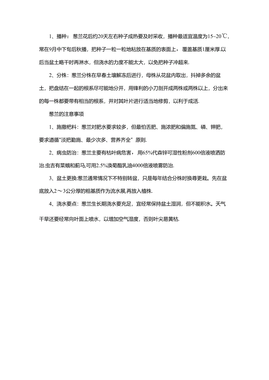 葱兰的养殖方法和注意事项.docx_第2页