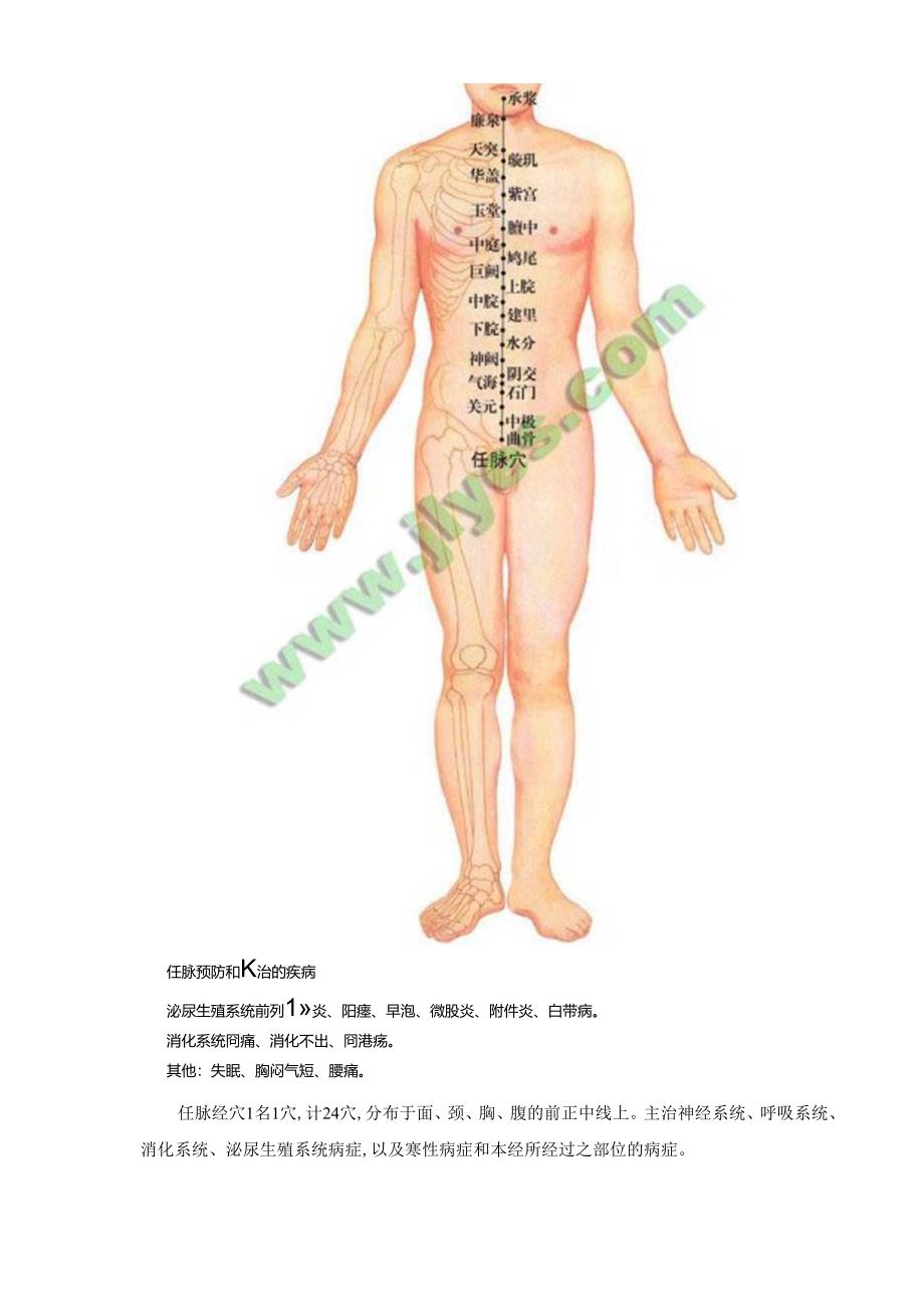 奇经八脉任脉图高清版人体穴位图.docx_第2页