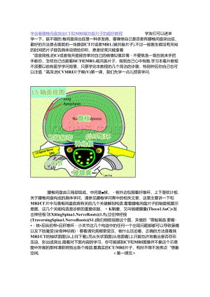 学会看腰椎间盘突出CT和MRI磁共振片子的超好教程.docx