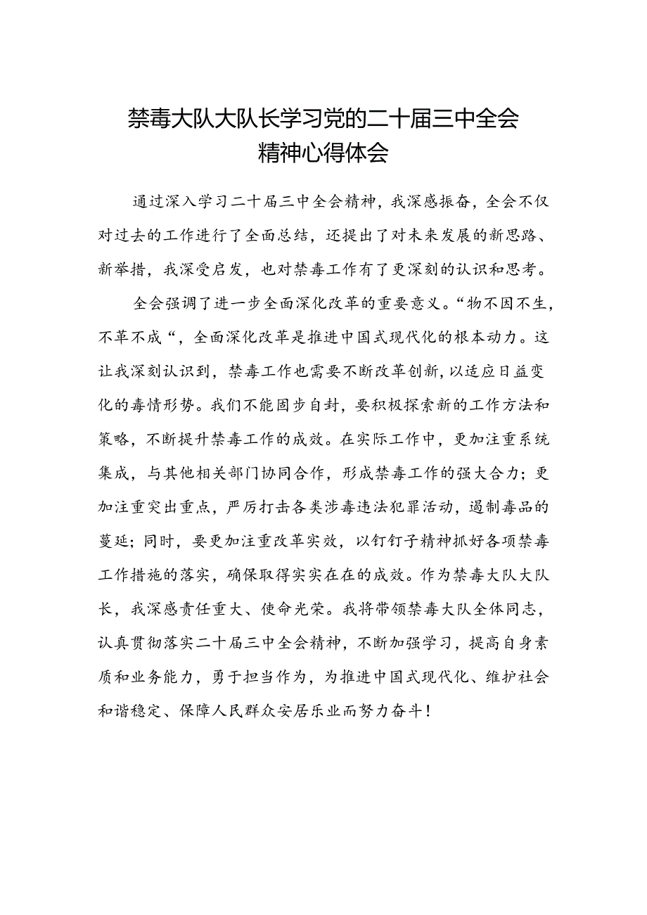 禁毒大队大队长学习党的二十届三中全会精神心得体会.docx_第1页