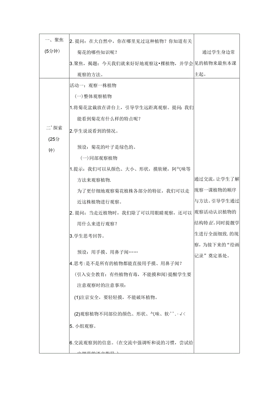 （2024秋）科教版科学一年级上册《观察植物》教案.docx_第2页