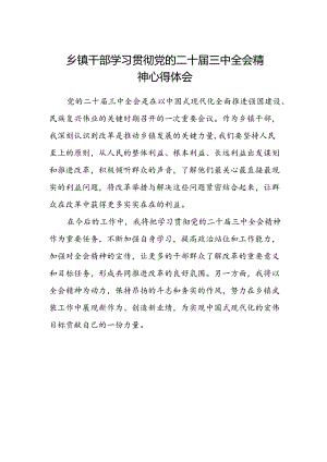 乡镇干部学习贯彻党的二十届三中全会精神心得体会范文.docx