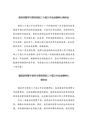 宣传民警学习贯彻党的二十届三中全会精神心得体会8篇（最新版）.docx