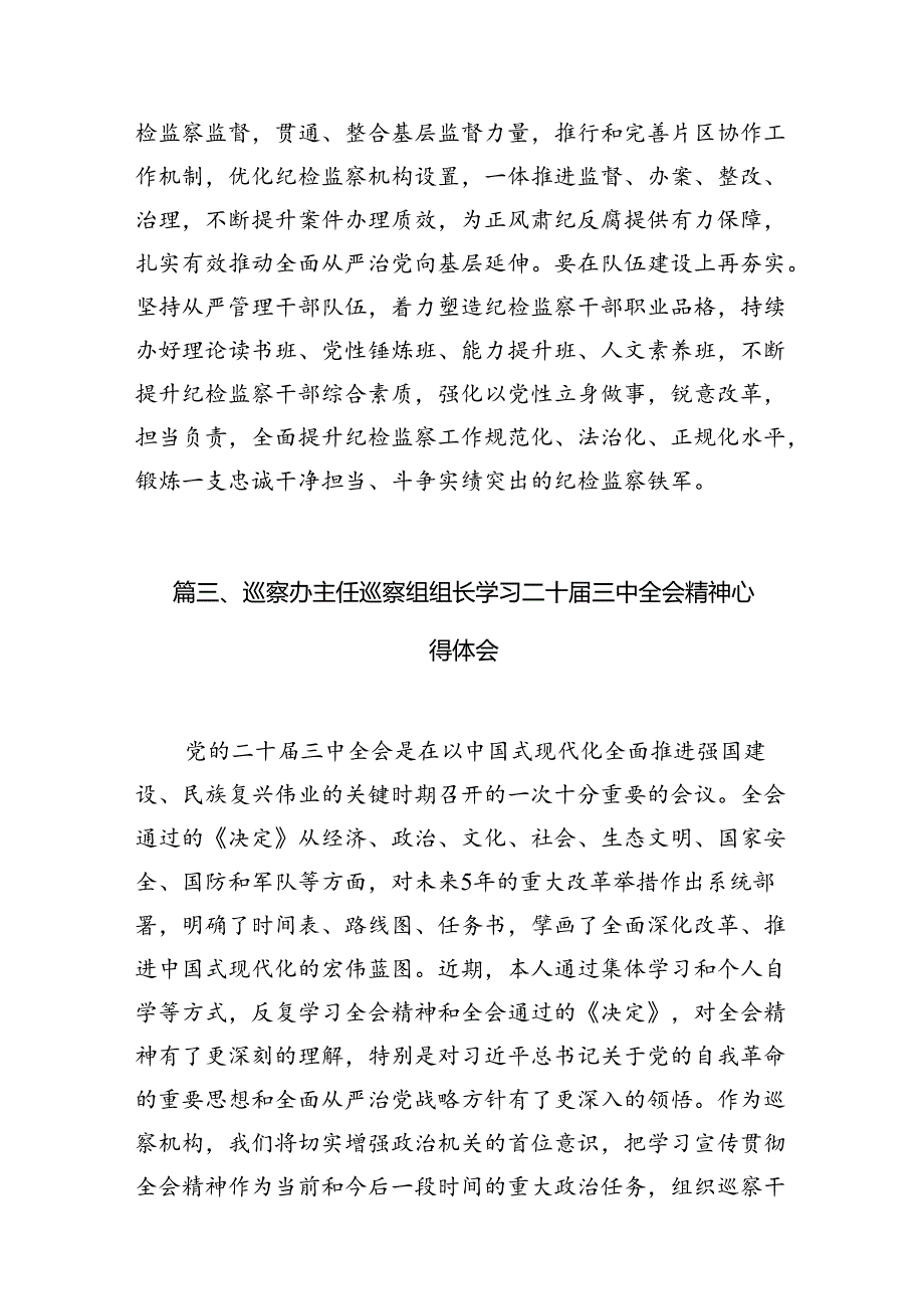 2024年轻纪检干部学习党的二十届三中全会精神研讨发言7篇（详细版）.docx_第3页