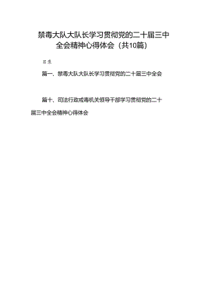 （10篇）禁毒大队大队长学习贯彻党的二十届三中全会精神心得体会（详细版）.docx