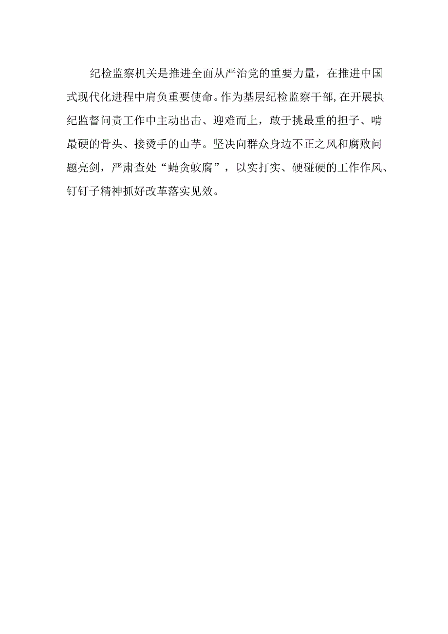 基层纪检监察干部学习党的二十届三中全会精神心得体会研讨发言.docx_第2页