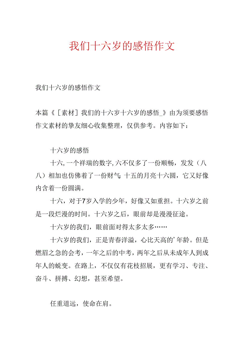 我们十六岁的感悟作文.docx_第1页