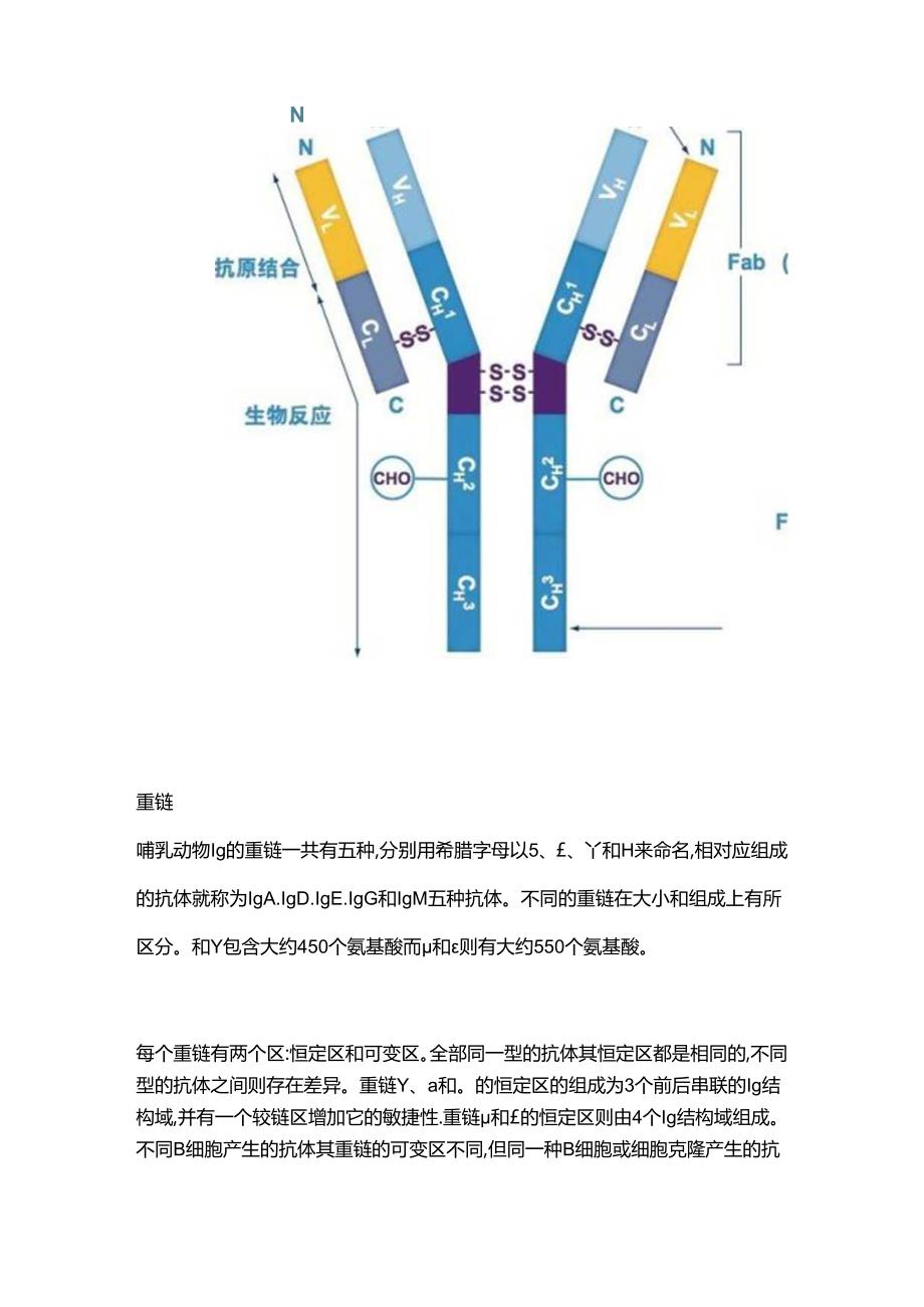 抗体和抗体的结构详解.docx_第2页