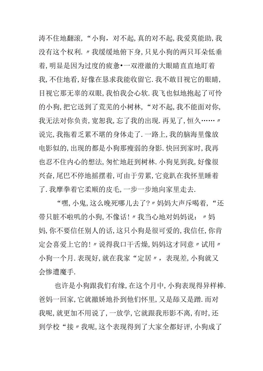 怎样爱护小动物的作文.docx_第2页