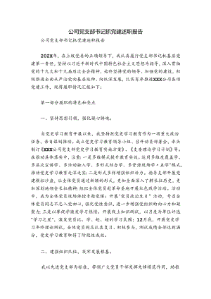 公司党支部书记抓党建述职报告.docx