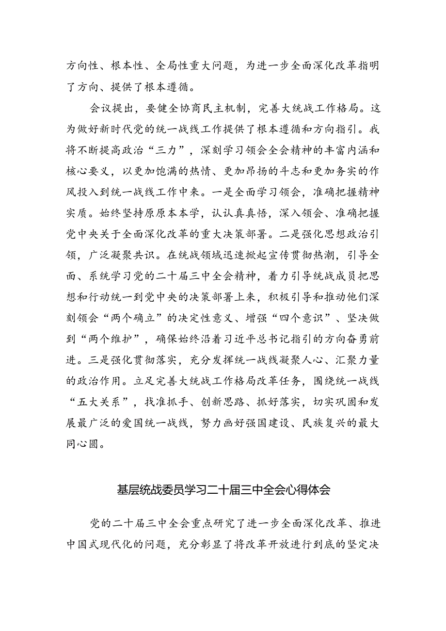 （9篇）统战干部学习党的二十届三中全会精神研讨发言（最新版）.docx_第2页