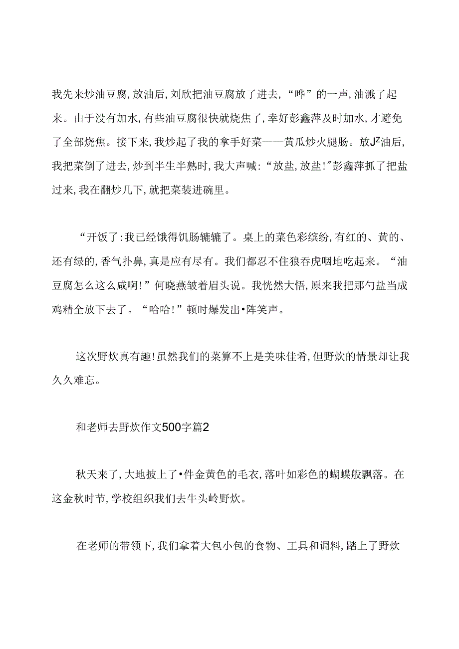 和老师去野炊作文500字：野炊作文500字.docx_第2页