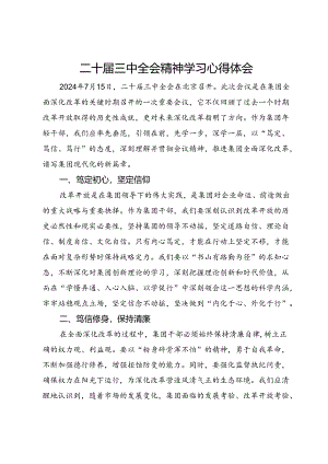 公司年轻干部二十届三中全会精神学习心得体会.docx