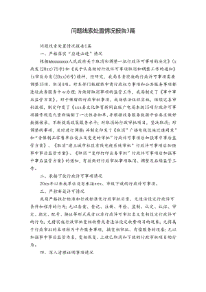 问题线索处置情况报告3篇.docx