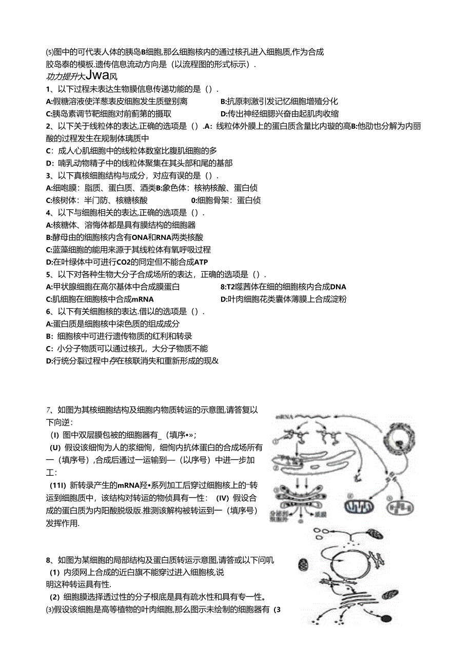 细胞器的结构与功能.docx_第3页